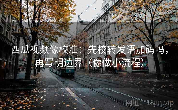 西瓜视频像校准：先校转发语加码吗，再写明边界（像做小流程）  第2张